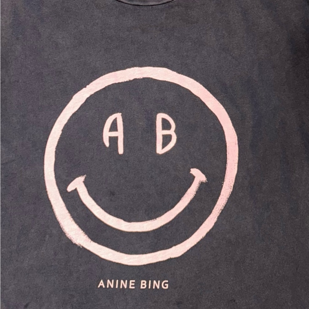 ANINE BING WOMENS CADE SMILEY GRAPHIC TEE SHIRT SIZE MEDIUM WASHED GREY
